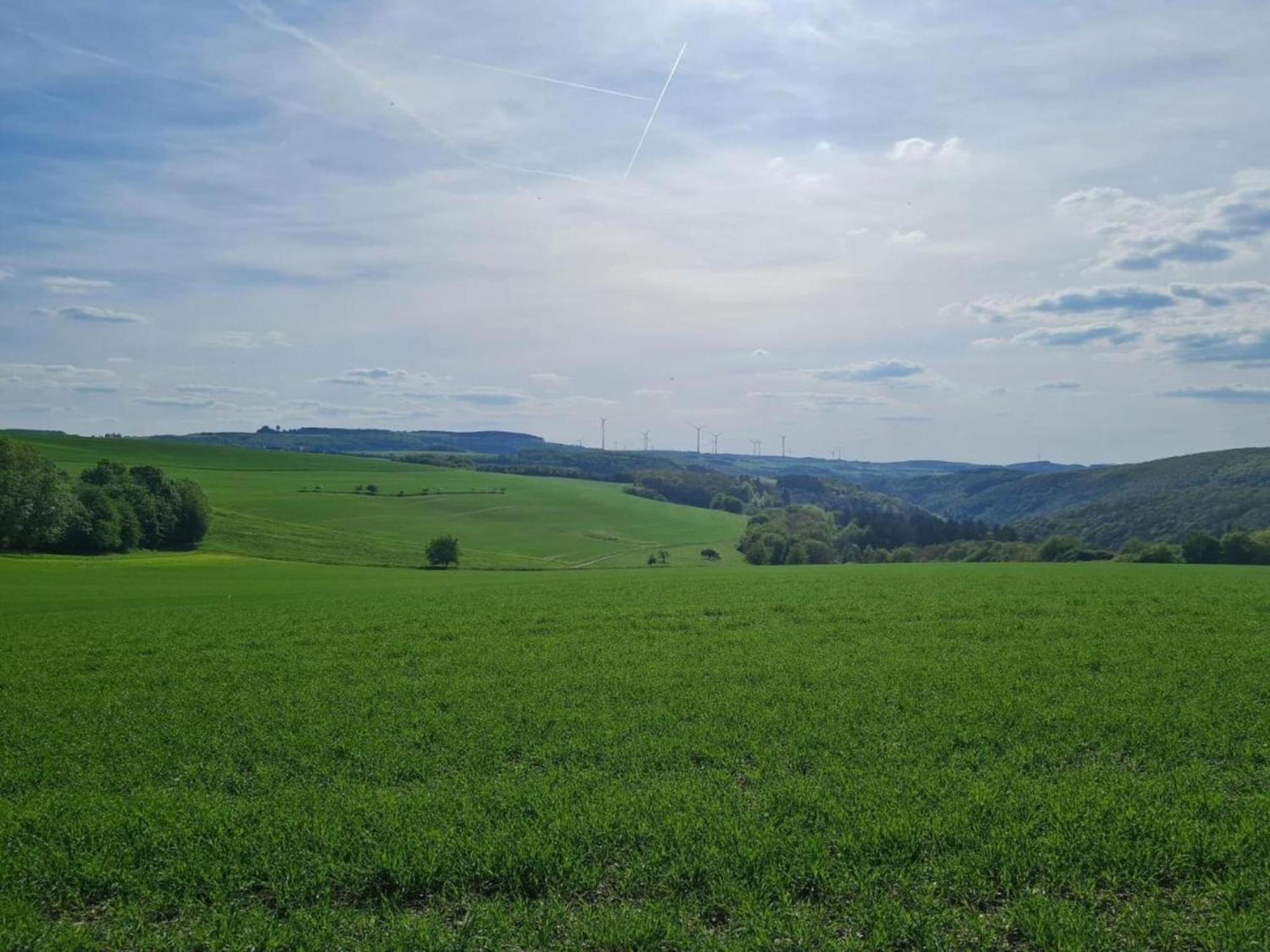 Tranquil Holiday Home In Filz In The Eifel With Garden Buitenkant foto